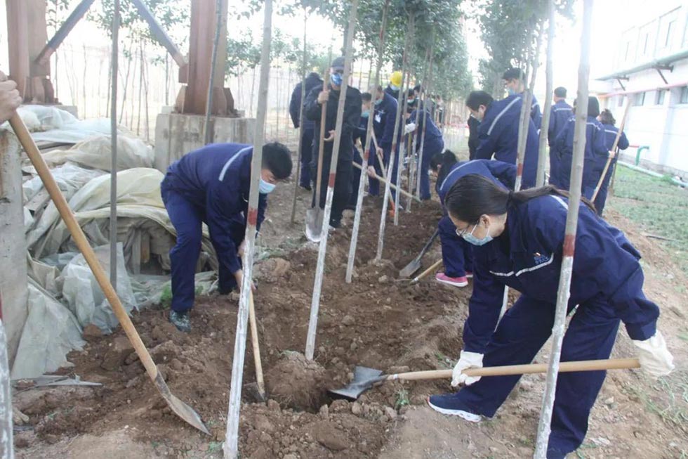 沖床廠區植樹